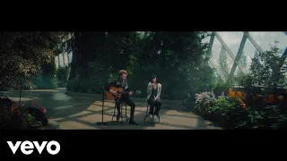 TV (Billie Eilish)
