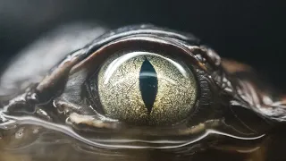 Glimpse of Us (Joji)