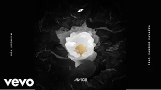 Without You (Avicii)