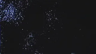 The Foundations of Decay (My Chemical Romance)