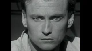 Broken Wings (Mr. Mister)