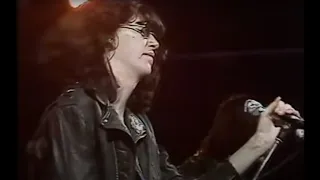 Sheena Is A Punk Rocker (Ramones)