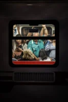 View through a train window - Credits: pexels
