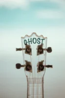 A close-up shot of a - Credits: pexels