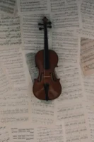 A classic violin placed on - Credits: pexels