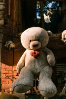 A large teddy bear with - Credits: pexels