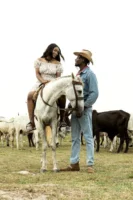 A couple in traditional Western - Credits: pexels