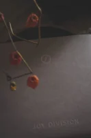 Moody still life of Joy - Credits: pexels