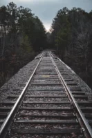Long railway tracks through dense - Credits: pexels
