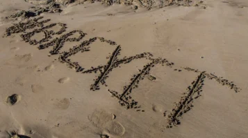 'Brexit' inscribed on sandy beach - Credits: pexels
