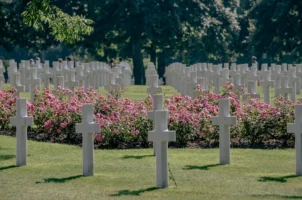 Tranquil view of Normandy Cemetery - Credits: pexels