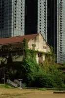 An old ivy-covered building contrasts - Credits: pexels