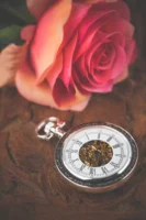 Elegant pocket watch and pink - Credits: pexels