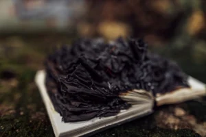 Charred book pages laying open - Credits: pexels