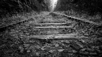 Black and white photo of - Credits: pexels