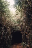 A mysterious railway tunnel entrance - Credits: pexels