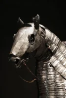 Close-up of medieval horse armor - Credits: pexels