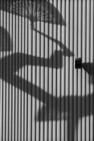 Black and white shadows cast - Credits: pexels