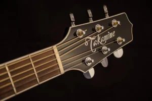 Detailed view of a Takamine - Credits: pexels