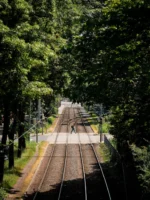 Serene railway tracks surrounded by - Credits: pexels