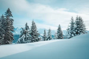 Tranquil winter scene of snow-covered - Credits: pexels
