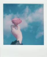 A soft-focus polaroid shot of - Credits: pexels