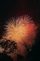 Colorful fireworks lighting up a - Credits: pexels